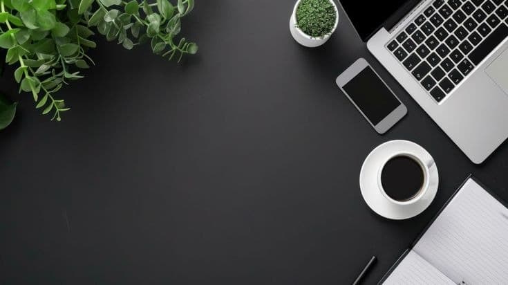 Creative workspace desk flatlay with plants and laptop